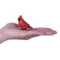 Mojo Red Cardinal in einer Box